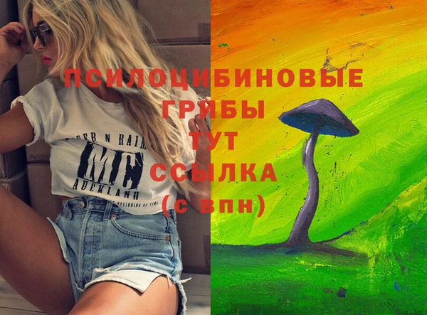 СК Алексеевка