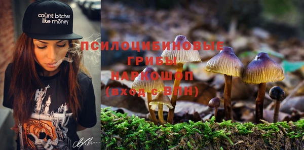 марки lsd Алзамай