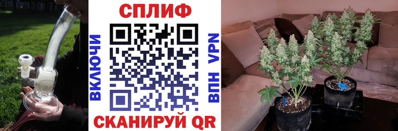 Каннабис ГИДРОПОН  Купить  Снежинск 
